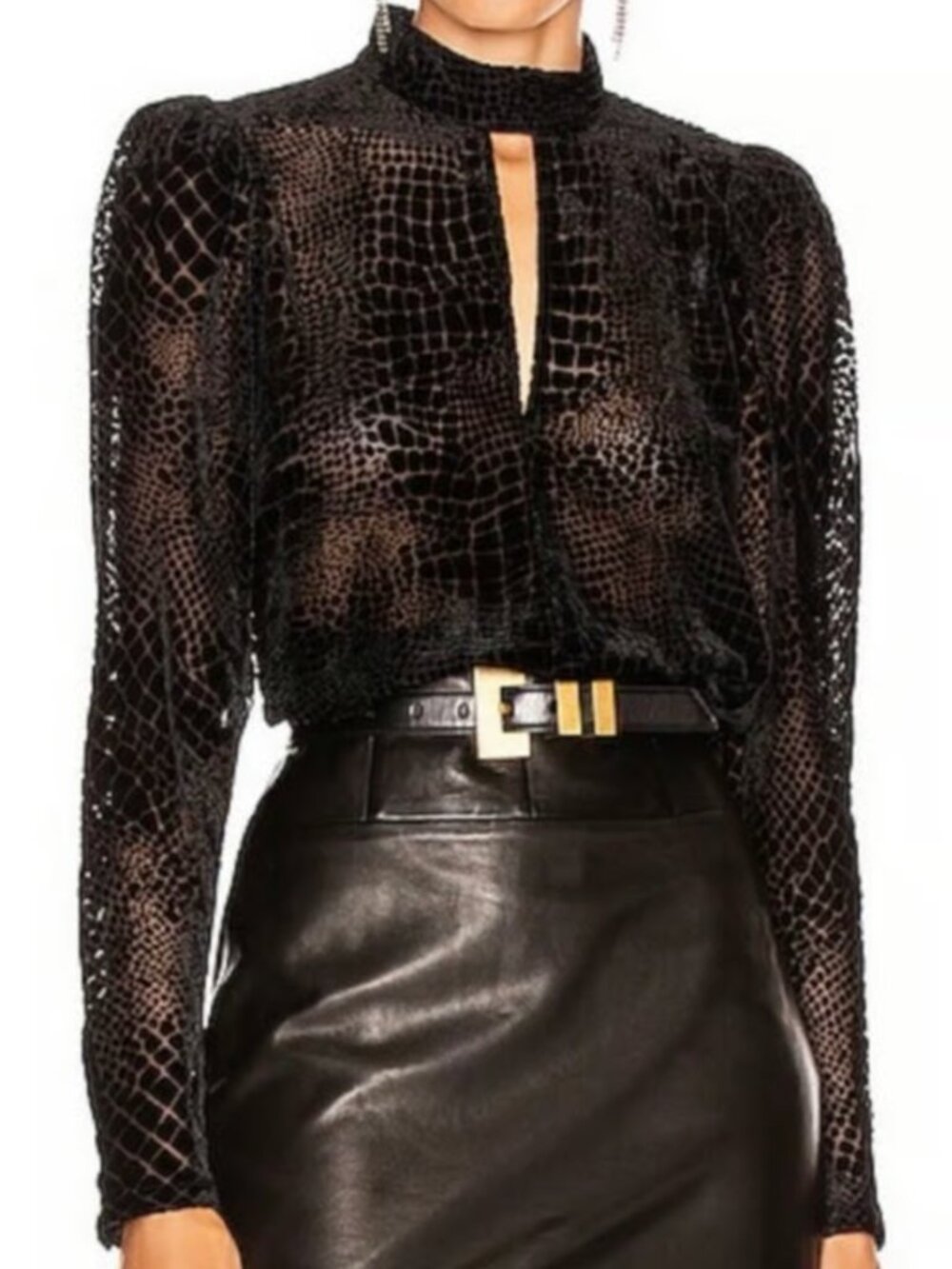 FRAME velvet burnout party top long sleeve reptile M